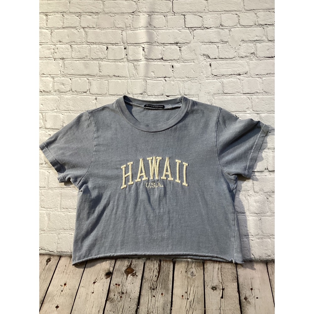 Brandy Melville Hawaii USA Graphic Crop Top Faded Blue Raw Hem Tee One Size